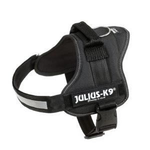 julius-k9-162p0-pettorina-per-cani-1