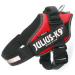 julius-k9-idc-powerharness-pettorine-per-cani-1